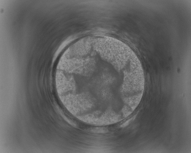 X0000081410102200702092119