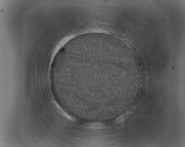 X0000081410104200702092119