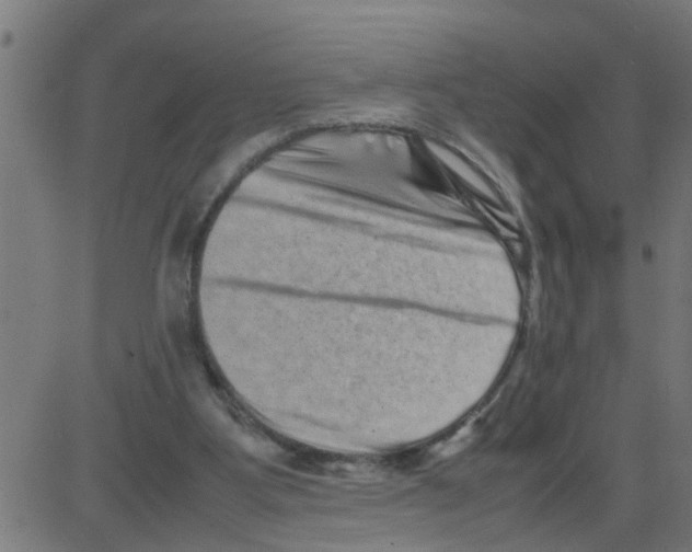 X0000081410107200702092119