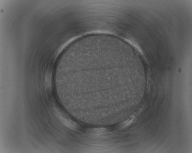 X0000081410108200702092119