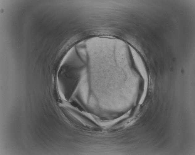 X0000081410109200702092118