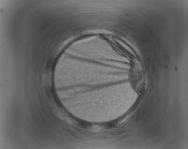 X0000081410111200702092118