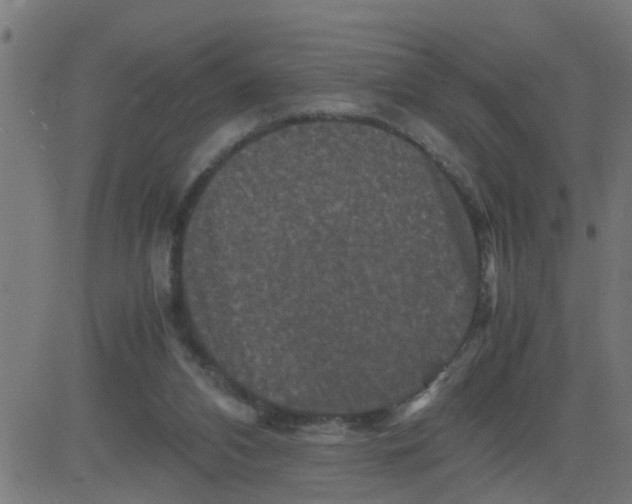 X0000081410112200702092118