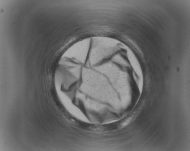 X0000081410113200702092118