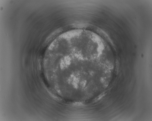 X0000081410114200702092118