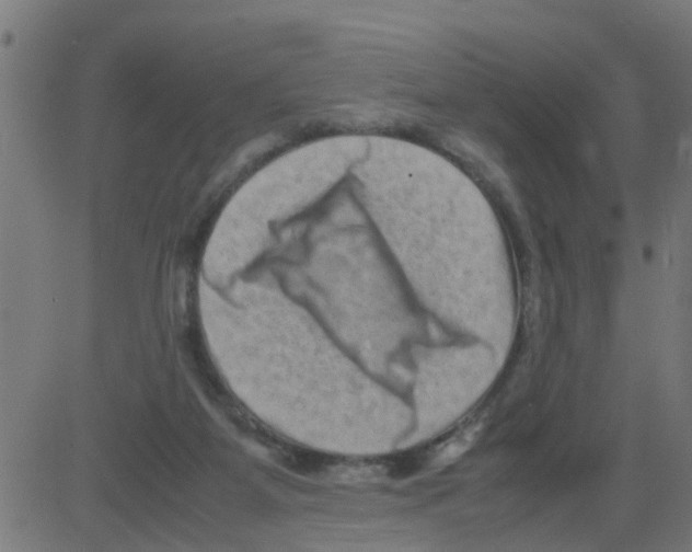 X0000081410115200702092118