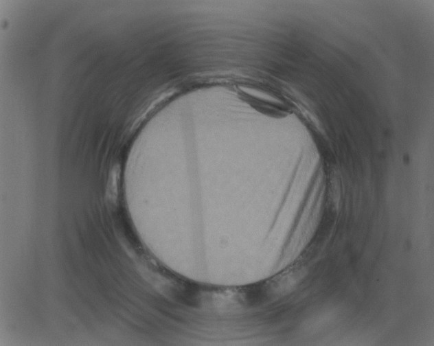 X0000081410118200702092118