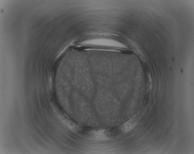 X0000081410120200702092118