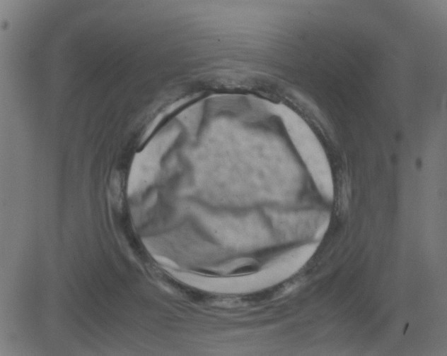 X0000081410121200702092118