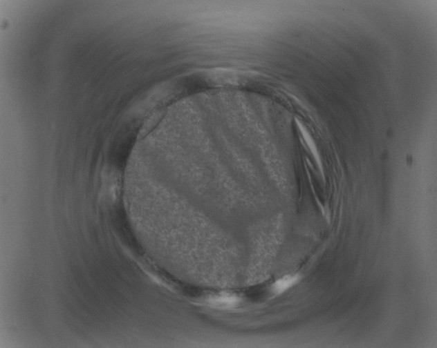 X0000081410125200702092118