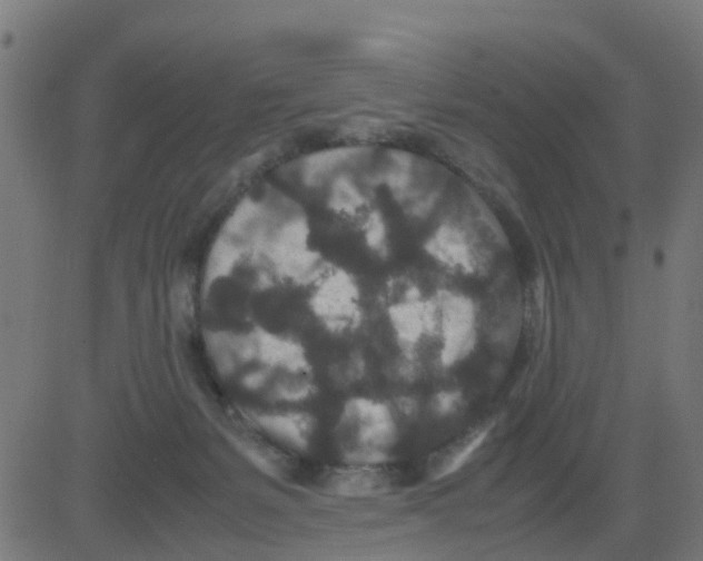 X0000081410127200702092118