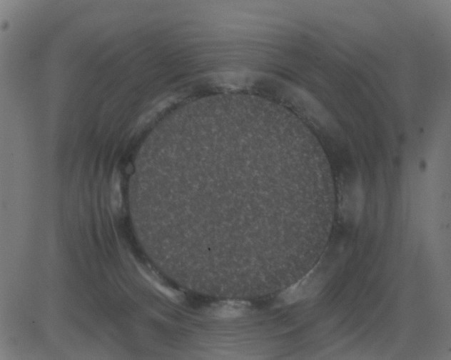 X0000081410128200702092118