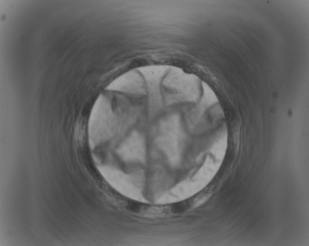 X0000081410129200702092118