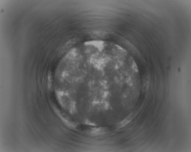 X0000081410130200702092118