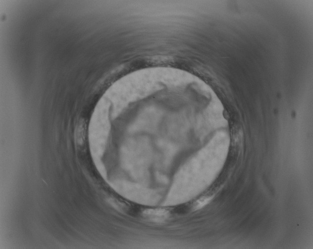 X0000081410133200702092118