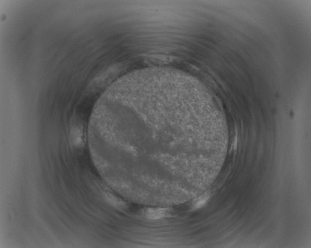 X0000081410134200702092118