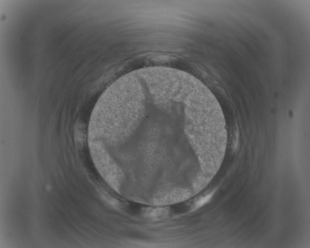 X0000081410135200702092118