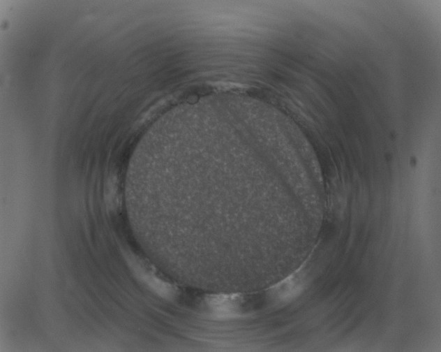 X0000081410136200702092118