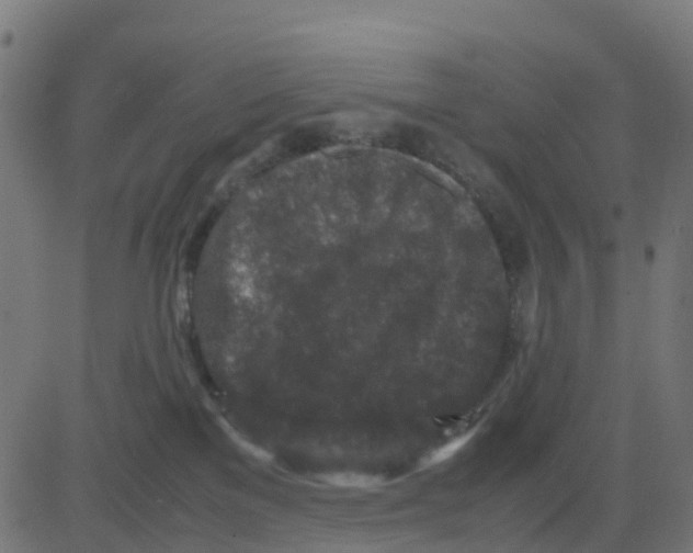 X0000081410137200702092118