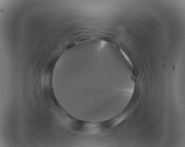 X0000081410139200702092118