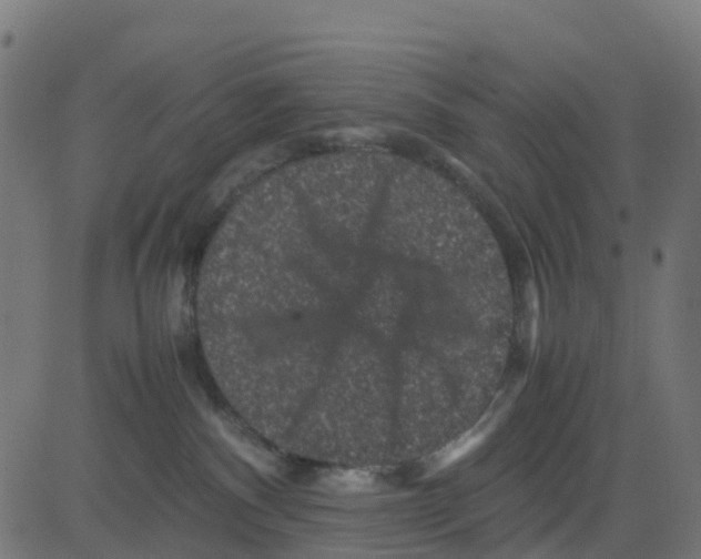 X0000081410140200702092118