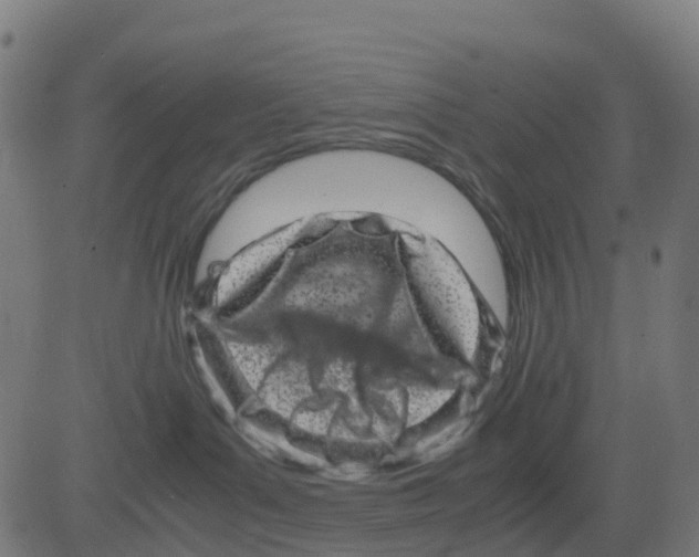 X0000081410143200702092118