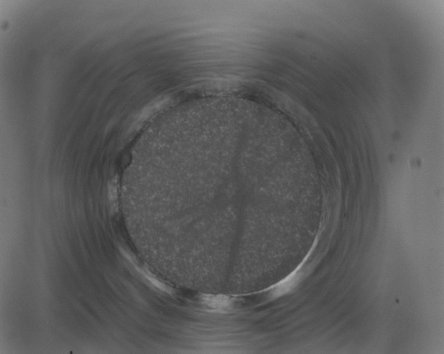 X0000081410144200702092118