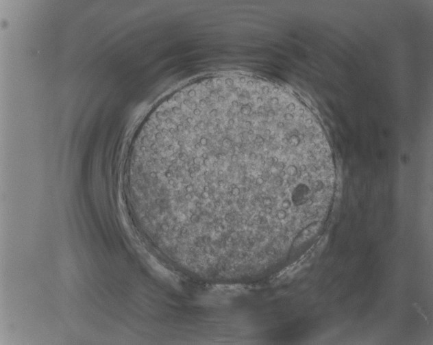 X0000081410145200702092117