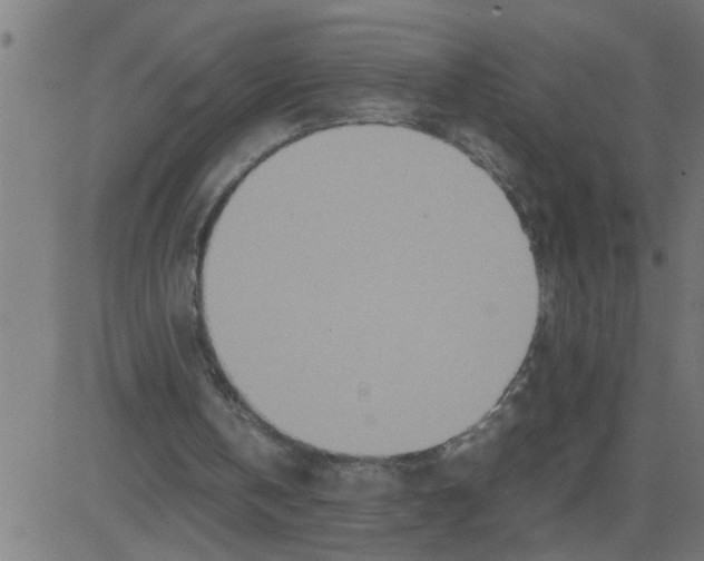 X0000081410146200702092117