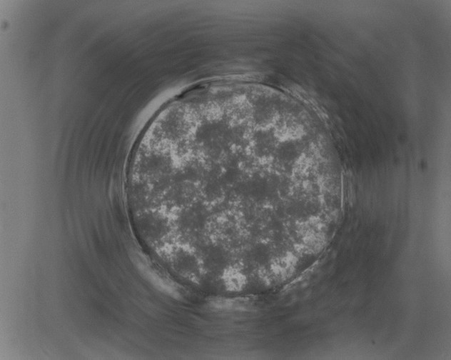 X0000081410147200702092117