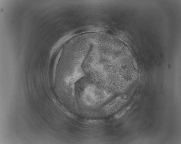 X0000081410149200702092117