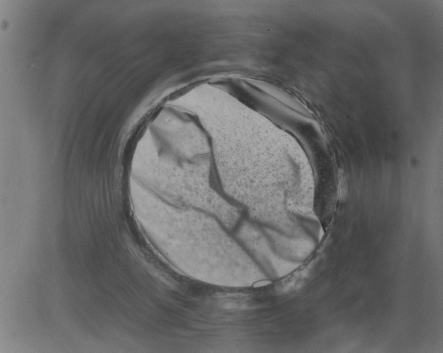 X0000081410150200702092117