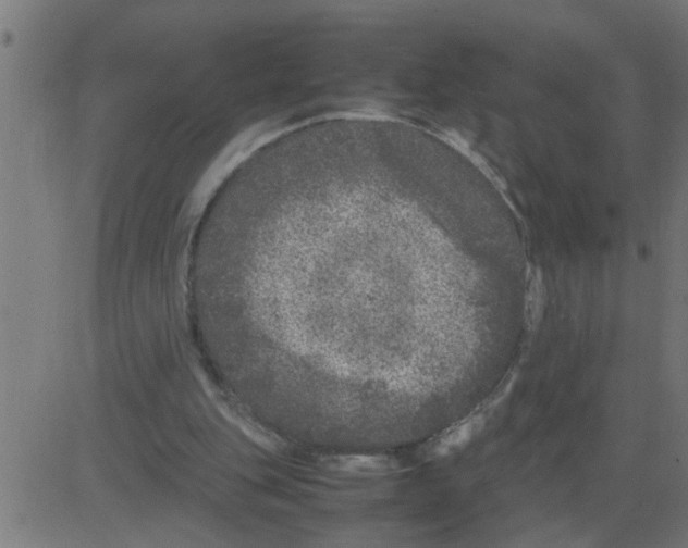 X0000081410151200702092117