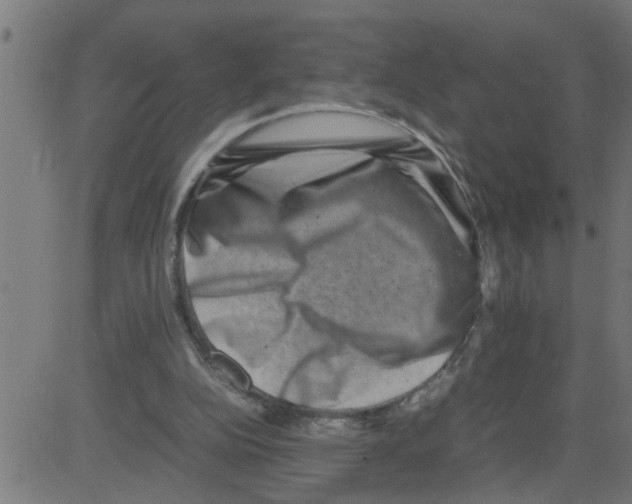 X0000081410152200702092117