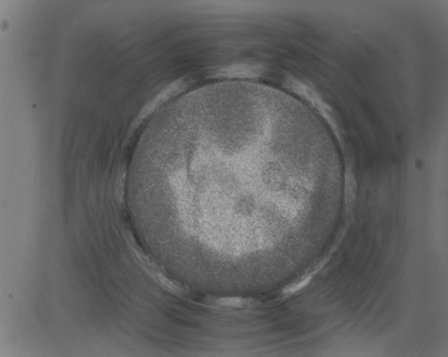 X0000081410153200702092117