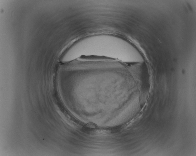 X0000081410154200702092117