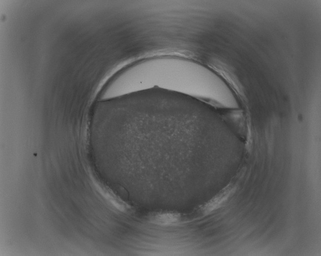 X0000081410156200702092117