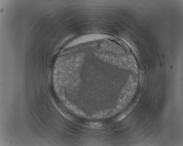 X0000081410157200702092117