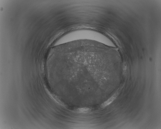 X0000081410158200702092117