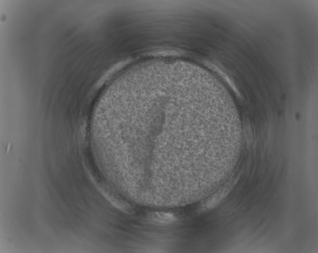 X0000081410159200702092117