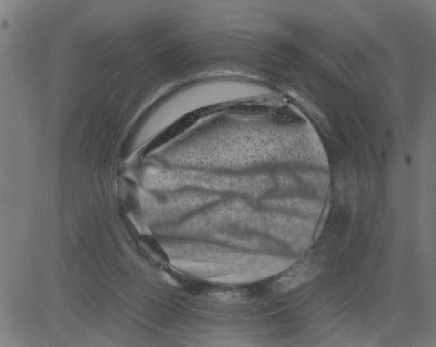 X0000081410160200702092117