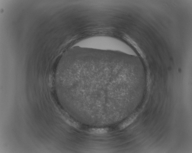 X0000081410161200702092117