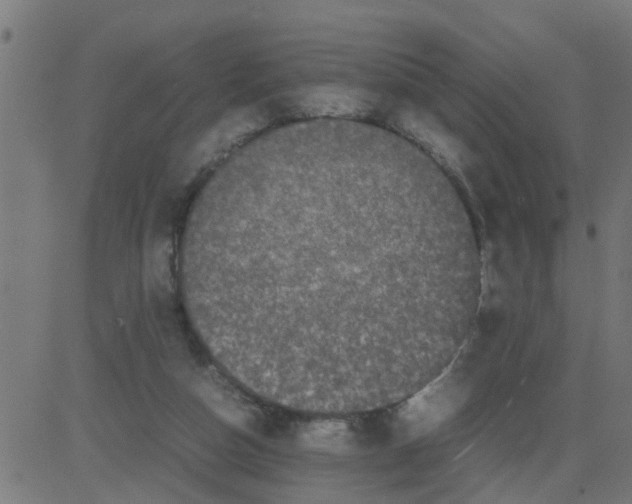 X0000081410162200702092117