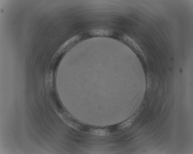 X0000081410163200702092117