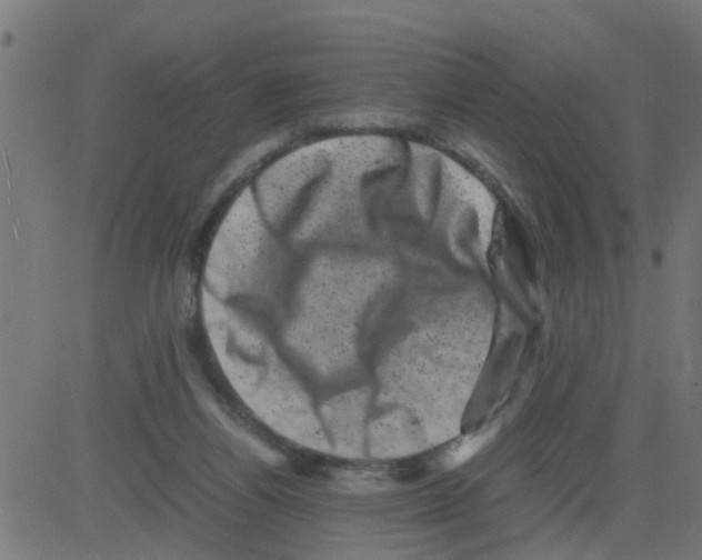 X0000081410164200702092117