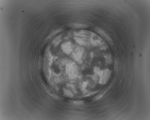 X0000081410165200702092117