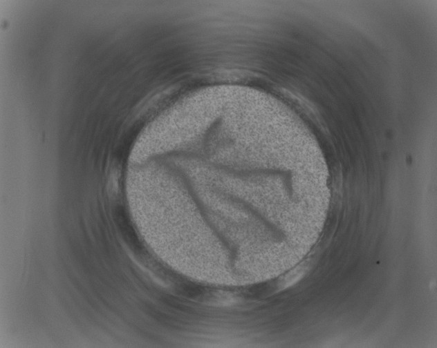 X0000081410166200702092117