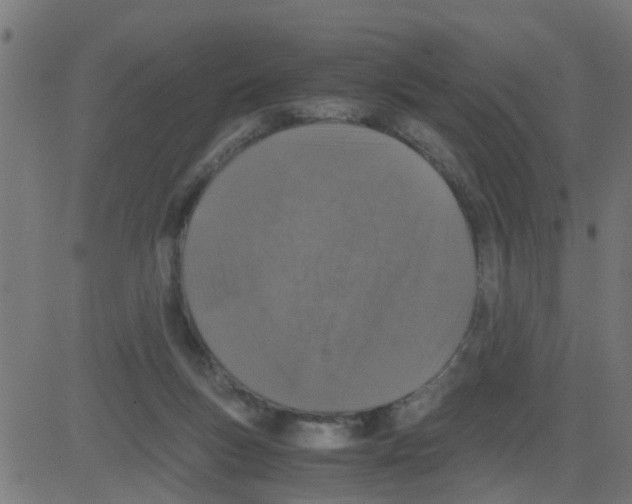 X0000081410167200702092117