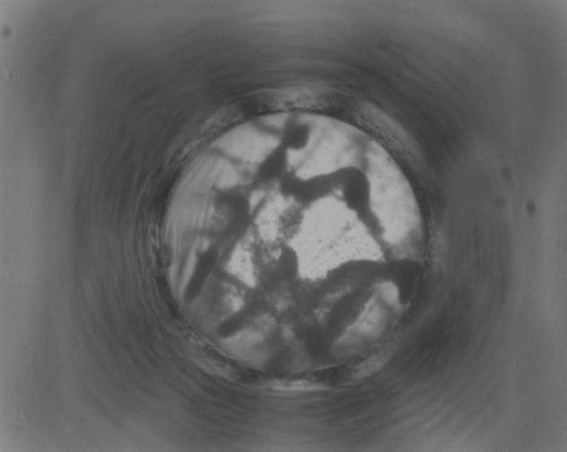 X0000081410169200702092118