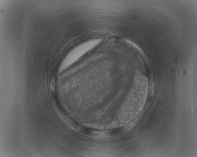 X0000081410170200702092118